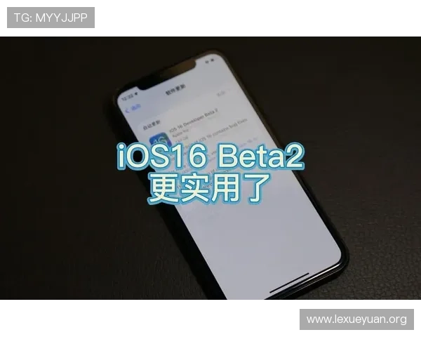 EB体育平台安全性分析及用户体验提升的实用建议