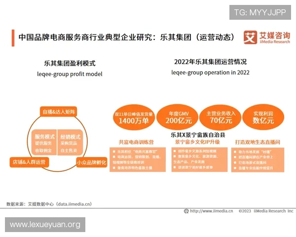 ld乐动体育平台的客户服务与技术支持，确保用户无忧使用体验