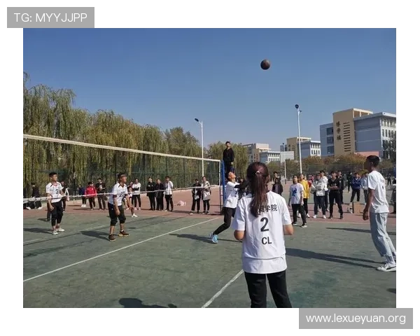和记体育用户注册流程与新手攻略帮助新手快速上手体验丰富赛事